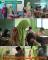 MONITORING ASESMEN MADRASAH BERBASIS KOMPUTER